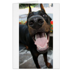 doberman-cerrar