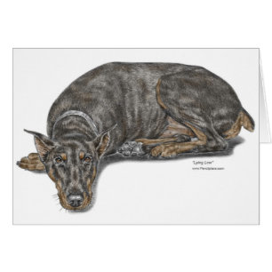 Doberman de mirada culpable triste