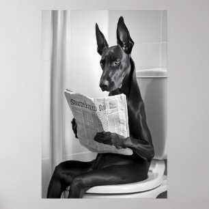 Doberman en Inodoro, Periódico, Arte Divertido de