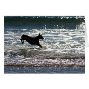 Doberman - negro - salto del océano