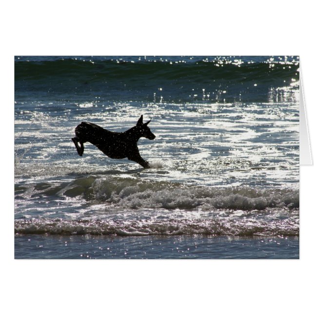 Doberman - negro - salto del océano (Anverso (Horizontal))