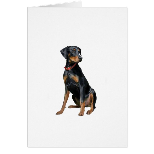 Doberman Pinscher (natural) (Frente)