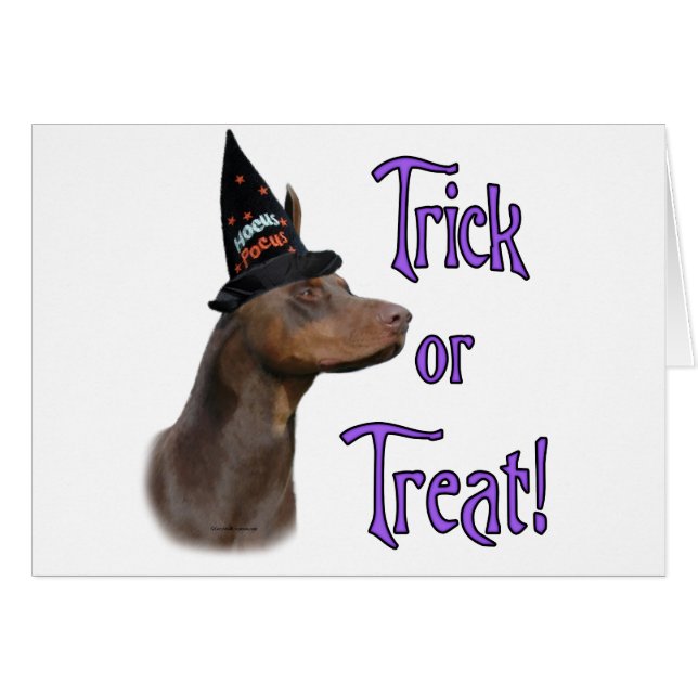 Doberman Pinscher (rojo) Trick (Anverso (Horizontal))