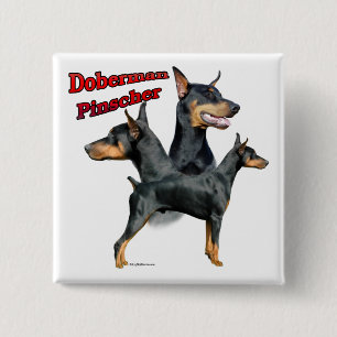 Doberman Pinscher Trio 2 - Botón