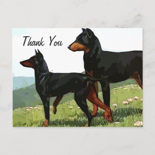 doberman pintado de vintage gracias postal (Anverso)