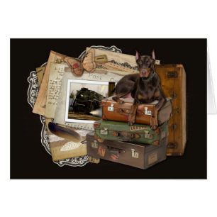 Doberman que viaja - Rocky