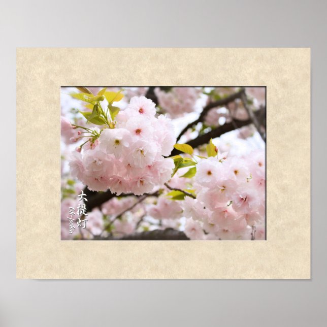 Doble Flor de Cerezo: Oh-jochin póster (Frente)