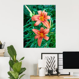 Doble Flor de Lirio Naranja Impresión Foto Póster