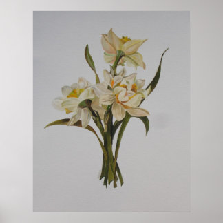 Doble Narcissi Bouquet Arte floral