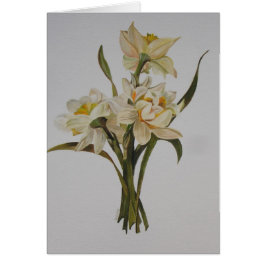 Doble Narcissi Bouquet Arte floral