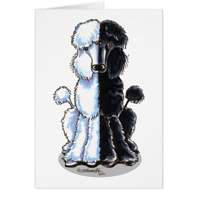 Doble rasero (Frente)