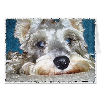 DOD: Mini Schnauzer alemán tan lindo