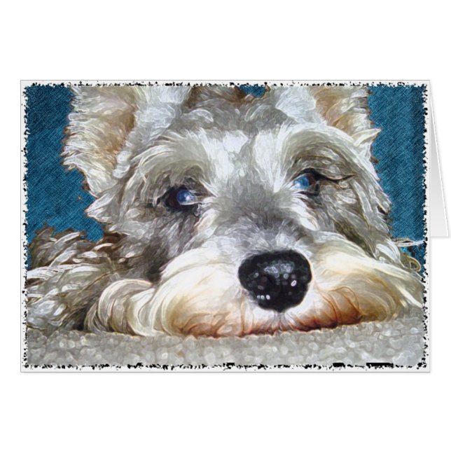 DOD: Mini Schnauzer alemán tan lindo (Anverso (Horizontal))