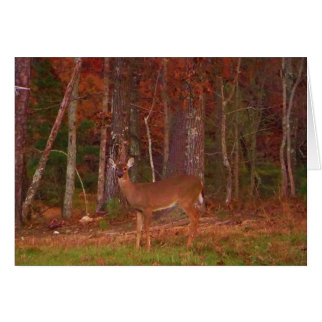 Doe a Deer in Lake Arrowhead (Anverso (Horizontal))
