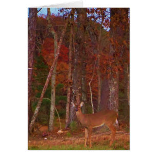 Doe a Deer in Lake Arrowhead