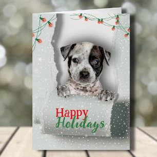 Dog Peeking Navidades Leyenda Tarjeta de vacacione