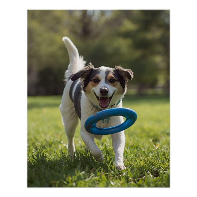 DOG POSTER (Anverso)
