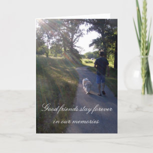 Dog Sympathy Rainbow Bridge Postal Card
