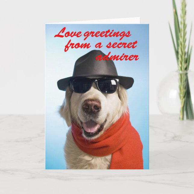 Dog Valentine Secret Admirer Tarjeta de Saludo Jit (Anverso)