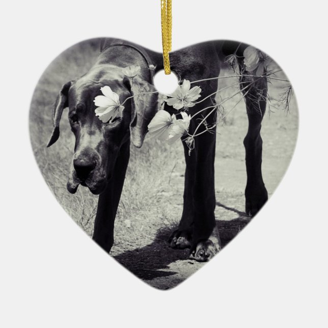 Dogge como ornamento (Frente)