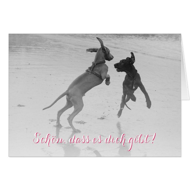 Doggenkarte "Schön" (Anverso (Horizontal))