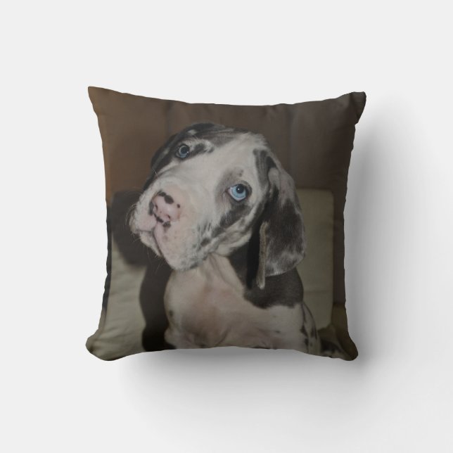 Doggenwelpe almohada (Anverso)