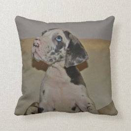 Doggenwelpe almohada