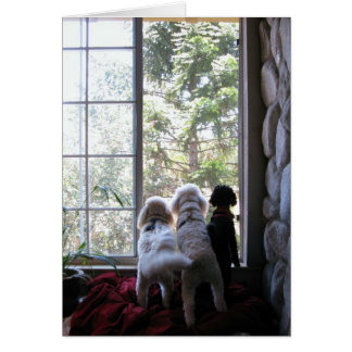Doggies en la ventana