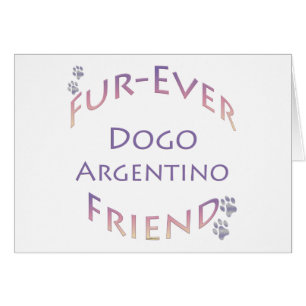 Dogo Argentino Furever