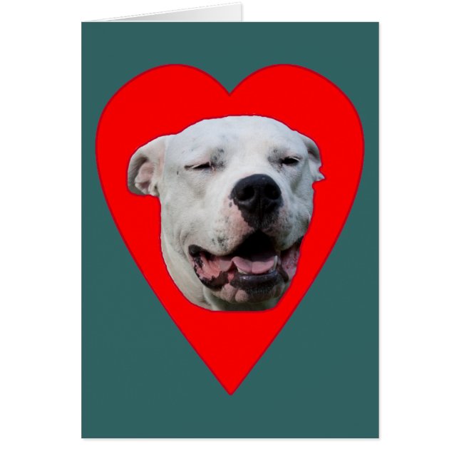 Dogo Argentino sonriente (Frente)