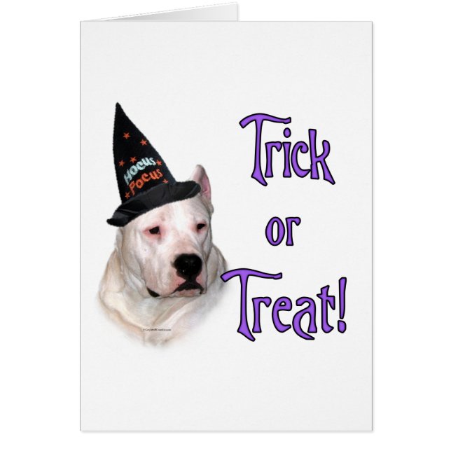 Dogo Argentino Trick (Frente)