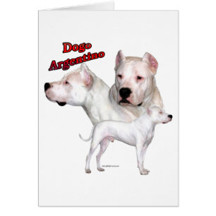 Dogo Argentino Trio 2
