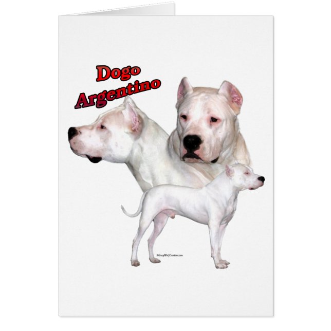 Dogo Argentino Trio 2 (Frente)