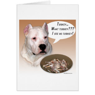 Dogo Argentino Turquía