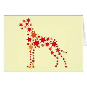 Dogo de Estrella