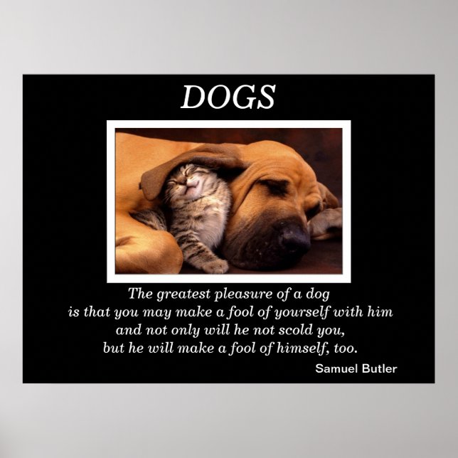 DOGS POSTERS 3 (Frente)