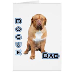 Dogue Dad 4
