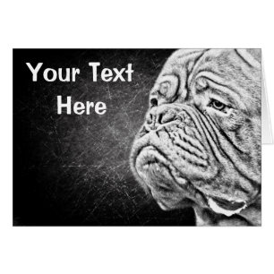 Dogue De Bordeaux - Mastiff Francesa