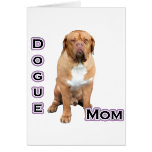 Dogue Mom 4