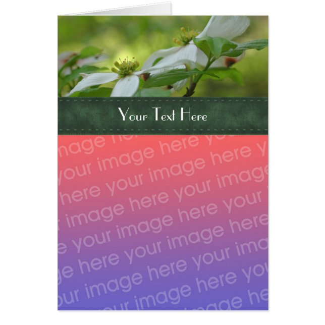 Dogwood blanca florece tu tarjeta de foto (Frente)