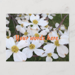 Dogwood blanco florece tus palabras postales