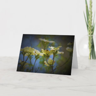 Dogwood Blossom, tarjeta