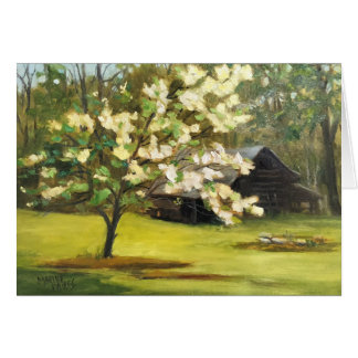 Dogwood Days