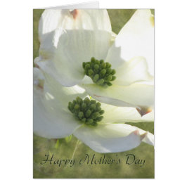 Dogwood del Día de la Madre