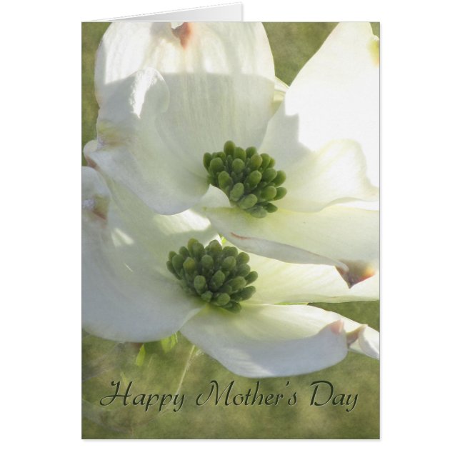 Dogwood del Día de la Madre (Frente)