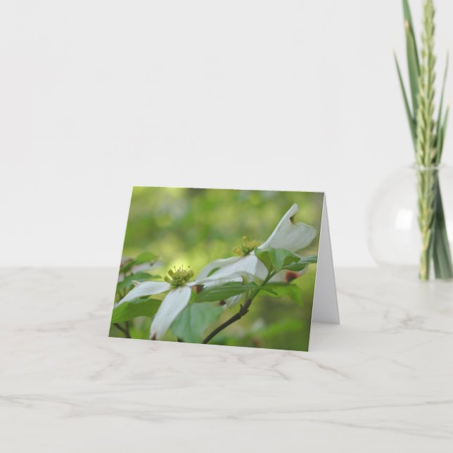 Dogwood Flower Blossoms Personalized  (Anverso)