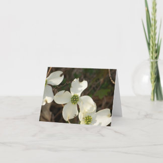 Dogwoods de la tarjeta de nota