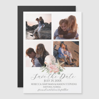 Dólar de arena floral de playa y multifoto de Star