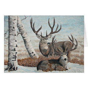 Dólares del canto Nevado