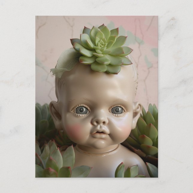 Doll en la suculenta postal de plantas (Anverso)